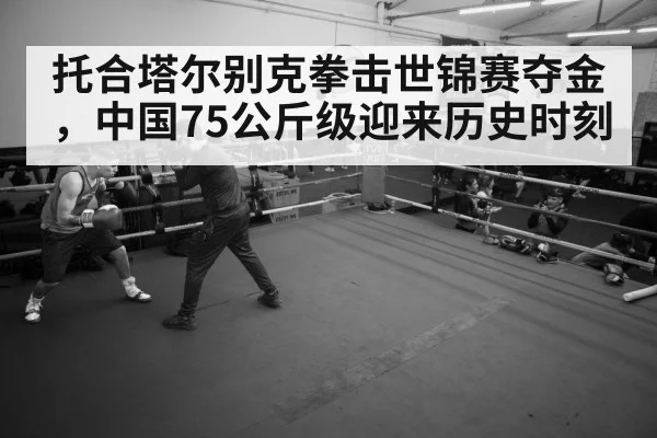 boxer training gym
