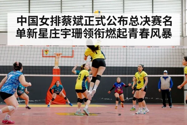 volleyball match action