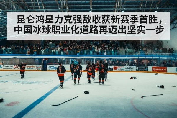 ice hockey arena crowd